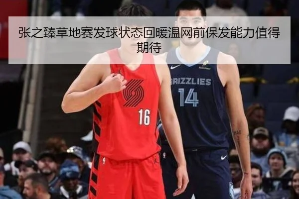张之臻草地赛发球状态回暖温网前保发能力值得期待